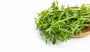 Beyaz arka planda taze çeltik pirinç bitkisi.