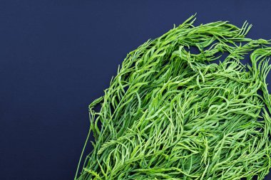 Sazan ya da Akasya 'ya tırmanmak koyu sırt grond ile yapraklar.