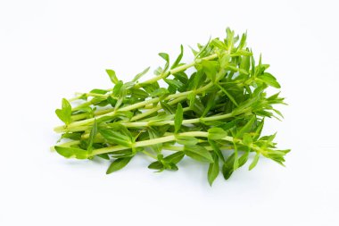 Beyaz arka planda taze çeltik pirinç bitkisi.