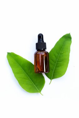 Beyaz arka planda yaprakları ile Eucalyptus esansiyel yağ şişesi.