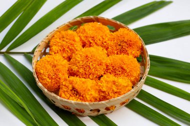 Bambu sepetinde kadife çiçekleri