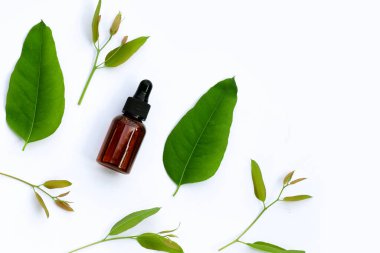Beyaz arka planda yaprakları ile Eucalyptus esansiyel yağ şişesi.