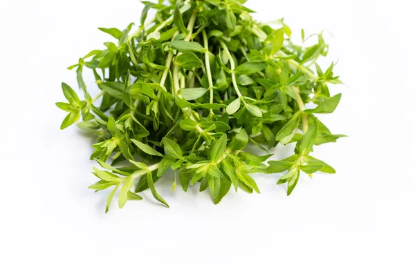 Fresh Paddy Rice Herb White Background — Stock Photo, Image