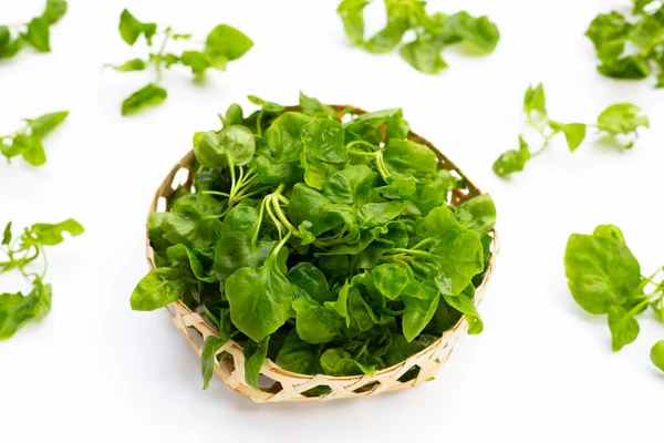 Watercress Isolated White Background — Stock Photo, Image