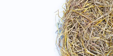 Arkaplan için sarı pirinç pipetleri