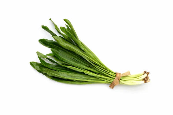 Culantro Cilantro Diente Sierra Sobre Fondo Blanco — Foto de Stock