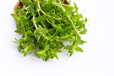 Beyaz arka planda taze çeltik pirinç bitkisi.