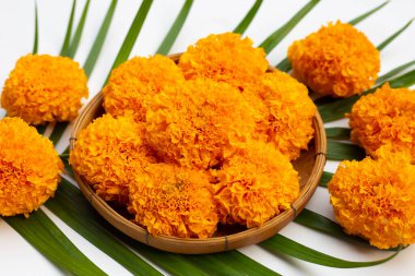 Bambu sepetinde kadife çiçekleri