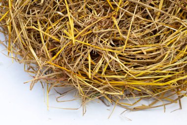 Arkaplan için sarı pirinç pipetleri