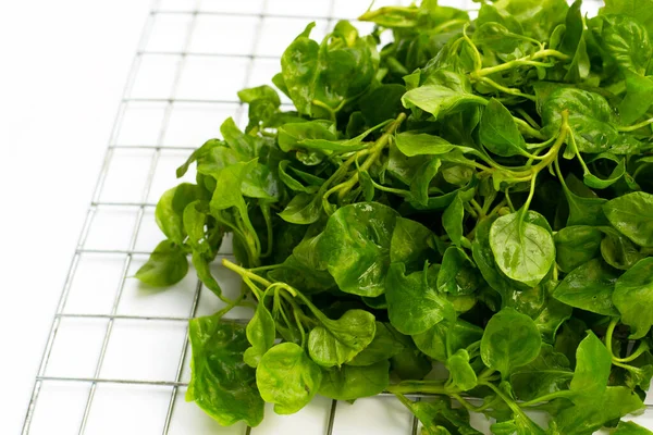 Watercress Isolated White Background — Stock Photo, Image