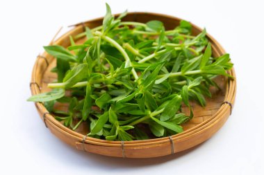 Beyaz arka planda taze çeltik pirinç bitkisi.