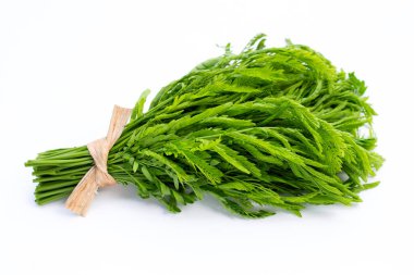 Beyaz arkaplanda Leucaena löcocepphala.