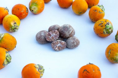 Beyaz arkaplanda Betel fındığı.