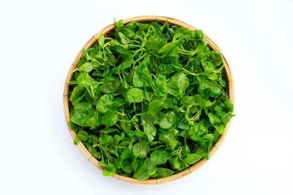 Watercress ในตะกร าไม บนพ นหล ขาว — ภาพถ่ายสต็อก