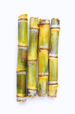 Beyaz zemin üzerine şeker kamışı.