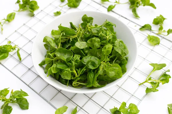 Watercress Isolated White Background — Stock Photo, Image