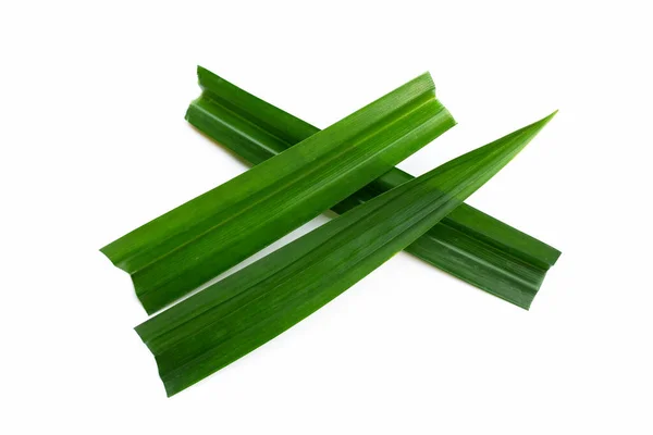 Fresh Pandan Leaves White Background — Stock Photo, Image