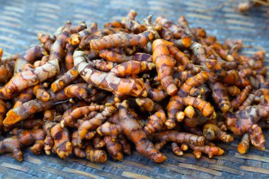 Bambu tabakta taze zerdeçal kökleri