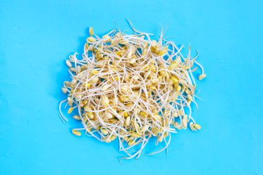 Pişirmek için taze soya filizleri..