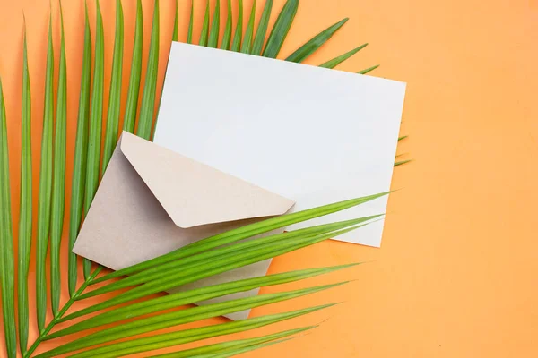 Envelope Com Papel Branco Folha Palma Fundo Laranja — Fotografia de Stock