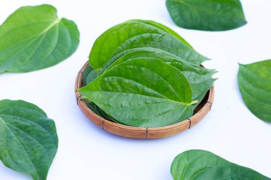 Yeşil tembul yaprakları, taze piper betle beyaz arka plan üzerinde