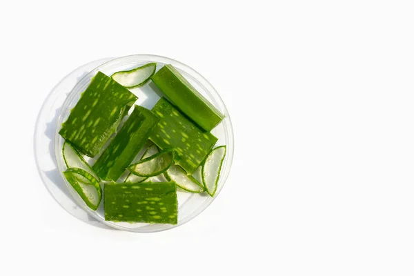 Aloe Vera Petriskål Vit Bakgrund — Stockfoto