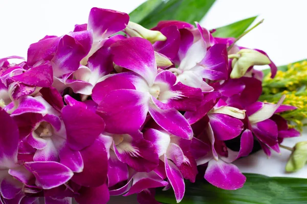 Bukett Vackra Lila Orkidé Blommor — Stockfoto