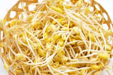 Pişirmek için taze soya filizleri..