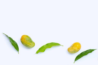 Tropik meyve, beyaz arka planda mango. Üst görünüm