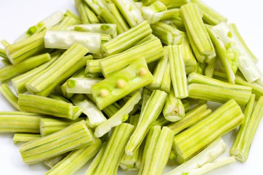 Moringa oleifera beyaz arkaplanda izole edildi.