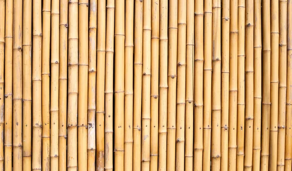 Бамбуковая Стена Текстура Забора Бамбука — стоковое фото