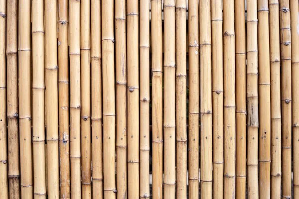 Parete Bambù Bambù Recinzione Texture Sfondo — Foto Stock