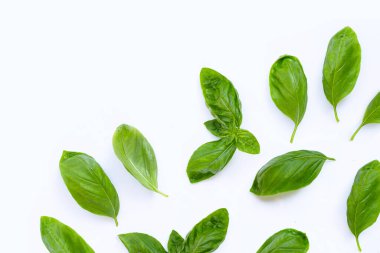 Beyaz arkaplanda fesleğen yaprakları.