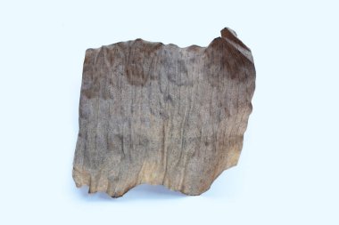 Muz Yaprak beyaz zemin üzerine kurutulmuş.