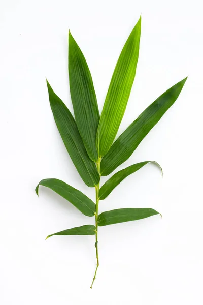 Листя Бамбука Білому Тлі — стокове фото