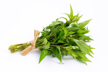 Vietnam kişniş yaprakları beyaz arka planda.