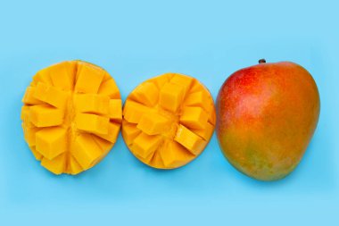Tropik meyve, mavi arkaplanda mango.. 