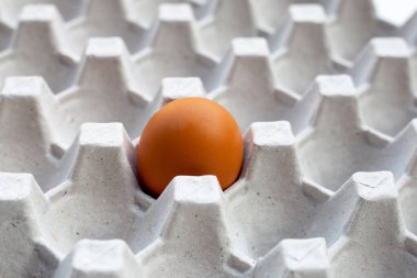 Beyaz arka planda kağıt yumurta sandıktaki tavuk yumurtası..