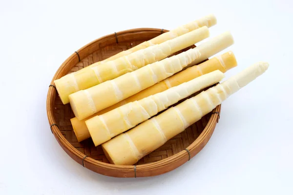 Beyaz arkaplanda bambu filizleri.