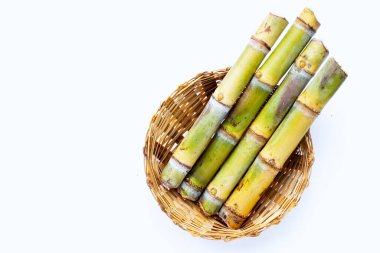 Beyaz zemin üzerine şeker kamışı.