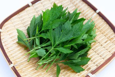 Bambu tabaktaki beyaz kurt yaprağı.