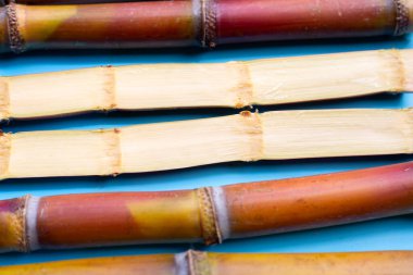 Mavi arka planda şeker kamışı.