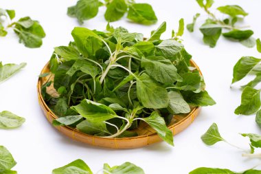 Beyaz arka planda yeşil ıspanak. Üst görünüm