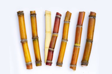 Beyaz zemin üzerine şeker kamışı.