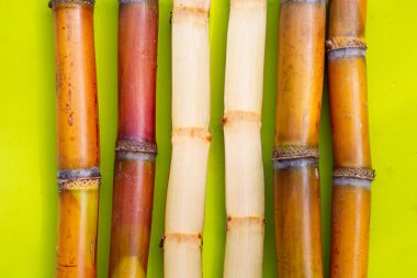 Beyaz zemin üzerine şeker kamışı.