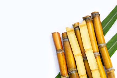 Beyaz zemin üzerine şeker kamışı.