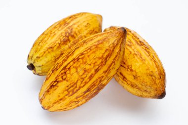 Beyaz arka planda izole edilmiş kakao meyvesi