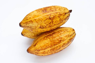 Beyaz arka planda izole edilmiş kakao meyvesi