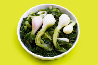 Yeşil arka planda beyaz kasede taze soğan turşusu..