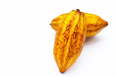 Beyaz arka planda izole edilmiş kakao meyvesi